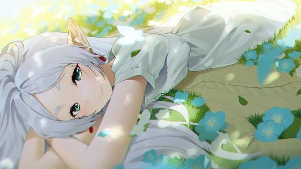 RPキャンペーン